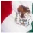 MEXICANO20