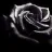 DunkelBlume