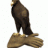 troyan323