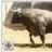 toribio-mooo