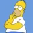 homer225