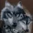 Gray Wolf