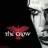 crow_679