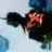 Norio_trazo