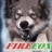 firefox33