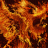 fenix 00