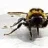 BumbleBee71