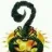 Black Scorpion