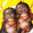 wolky_2