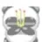 kirabujito
