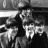 beatle.rich