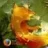 firefox832009