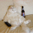 gattoxx