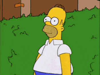 tumblr_l8b8x9cgDF1qbg16co1_400.gif