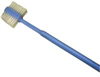 championtoothbrush.jpg