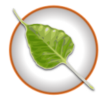 bodhi-linux-logo-150x150.png