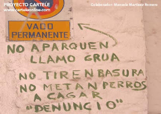 Cartele.jpg