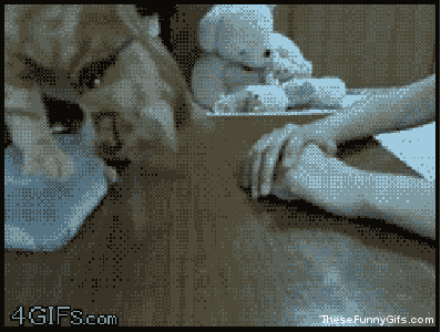 tumblr_m0nz3zujhF1qib914o1_400.gif