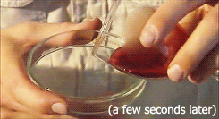 tumblr_mbo6vza40k1qlvt53o6_250.gif