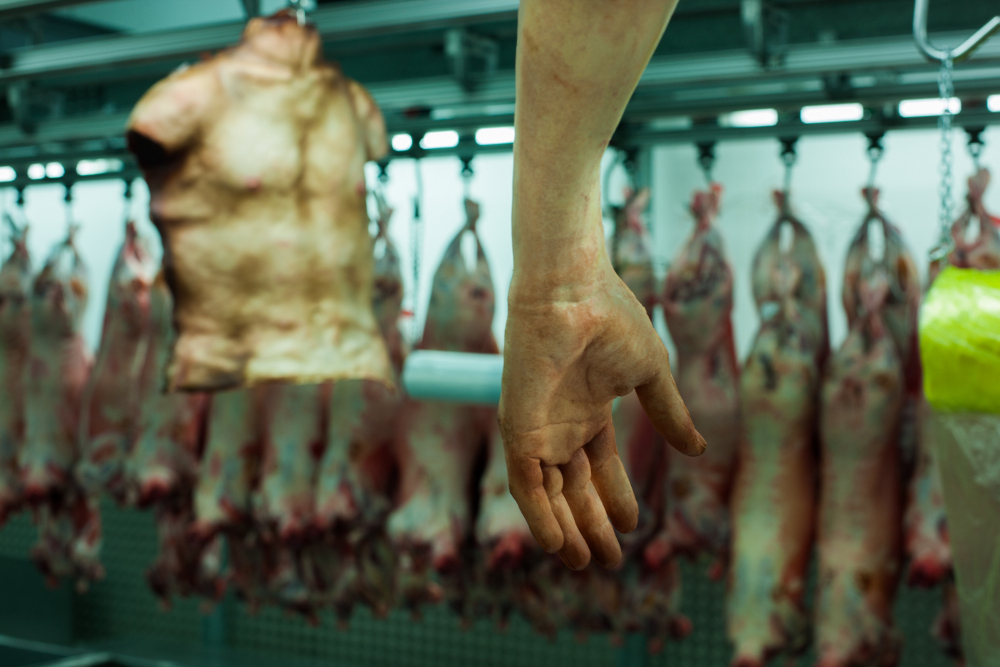 carniceria-venta-carne-humana.jpg
