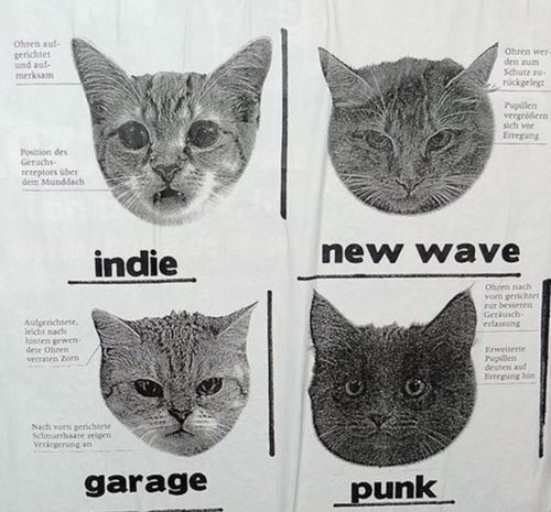 tumblr_luf6t2kMui1qe8722o1_500.jpg