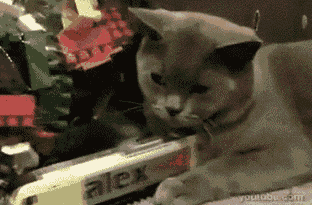 tumblr_lueinkYAp31qbj52ro1_400.gif