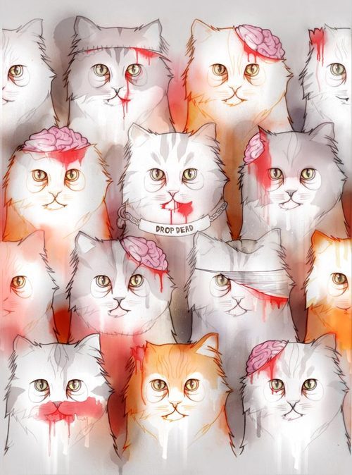 tumblr_luf67x5zt01r0zqtfo1_500.jpg