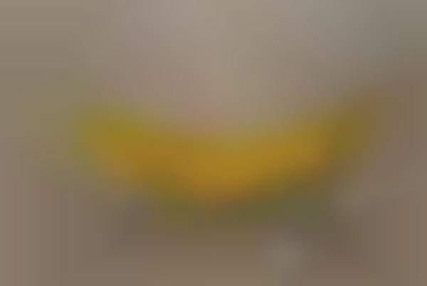 107744_1_600.jpeg
