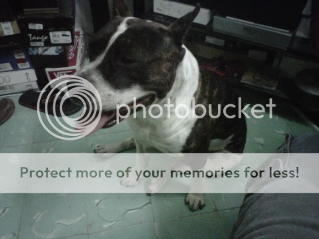 IMG00104-20110131-2144.jpg