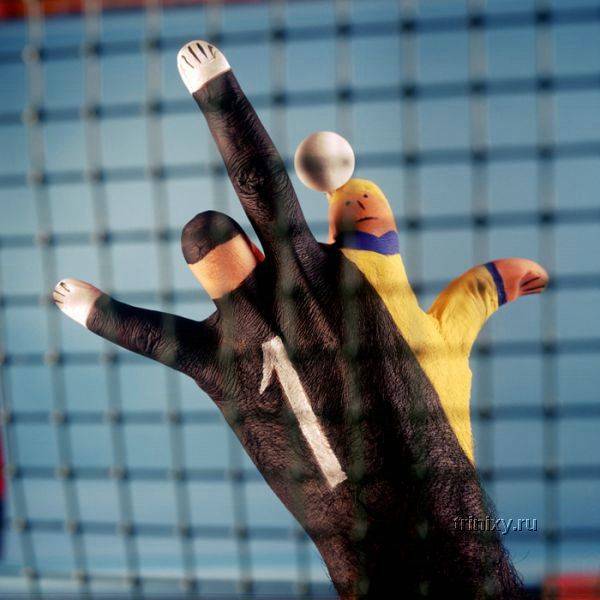 futbol+1.jpg