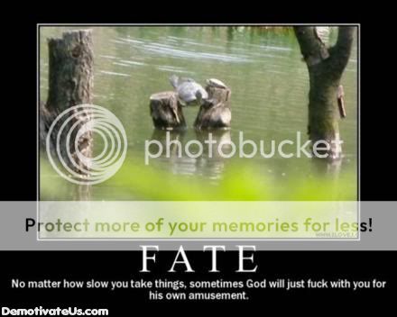 fate-god-hates-you-turtle-demotivat.jpg