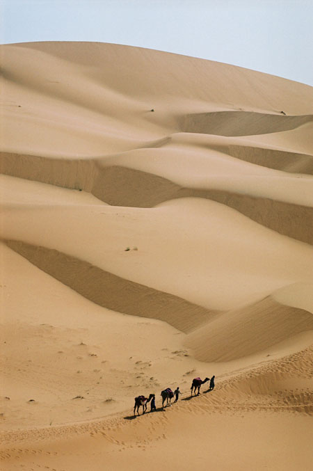 sahara.jpg