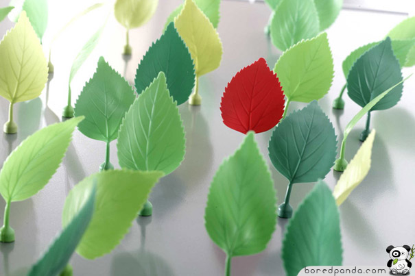 Cool-Magnets-Leaves.jpg