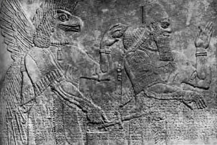 anu_444.jpg