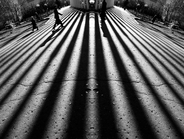 3840098_large.jpg