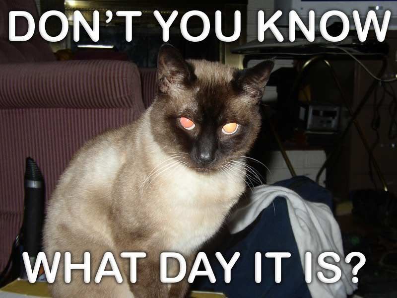 youknowwhatday.jpg