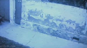 1261158023781.gif