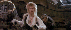 tumblr_lmx3gcBQ1A1qcqwko.gif