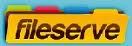 fileservelog.jpg
