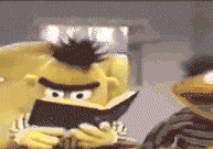 bertwhatthe.gif