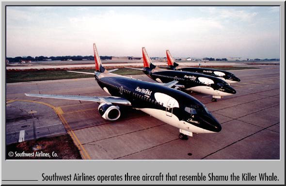 shamu2.jpg