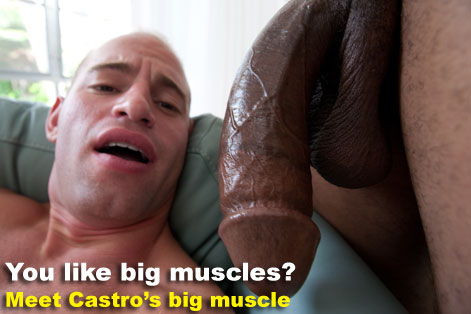 big1.jpg