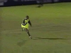 vuela.gif