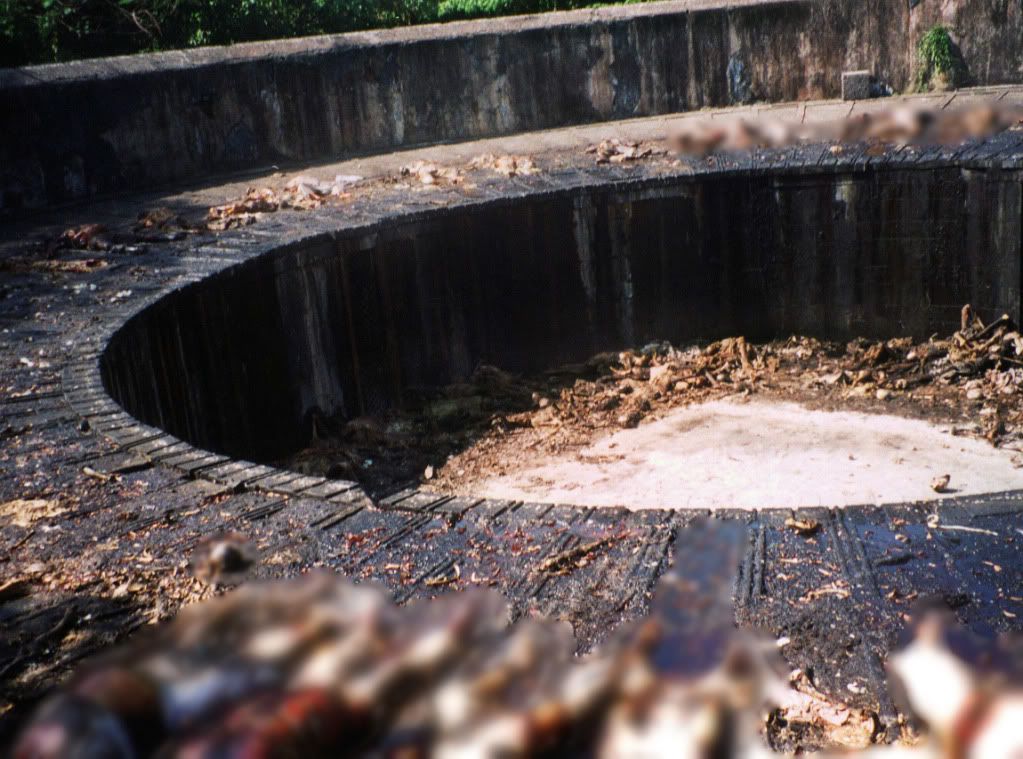 SkyBurialTowerPit.jpg