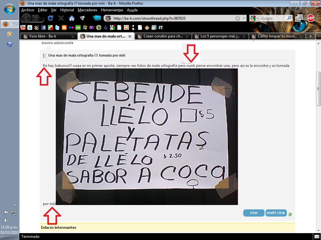 4445057010_29ea2a2997_o.jpg