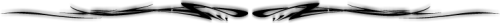 barra-separadora-272.png