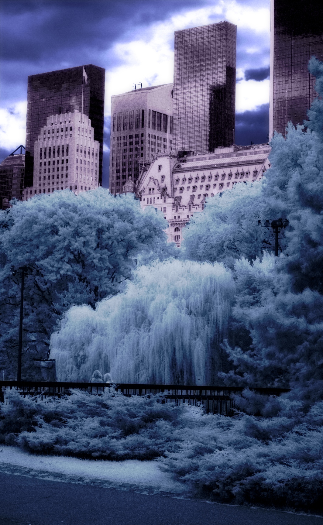 nigel-infrared-069.jpg