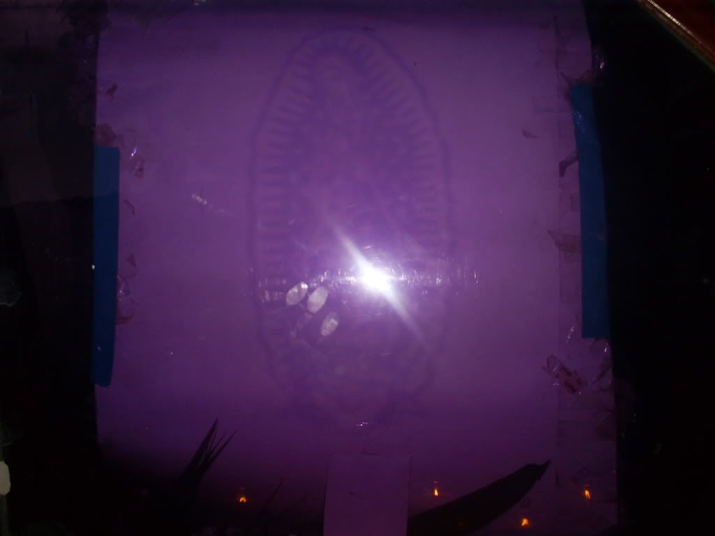 S5030011.jpg