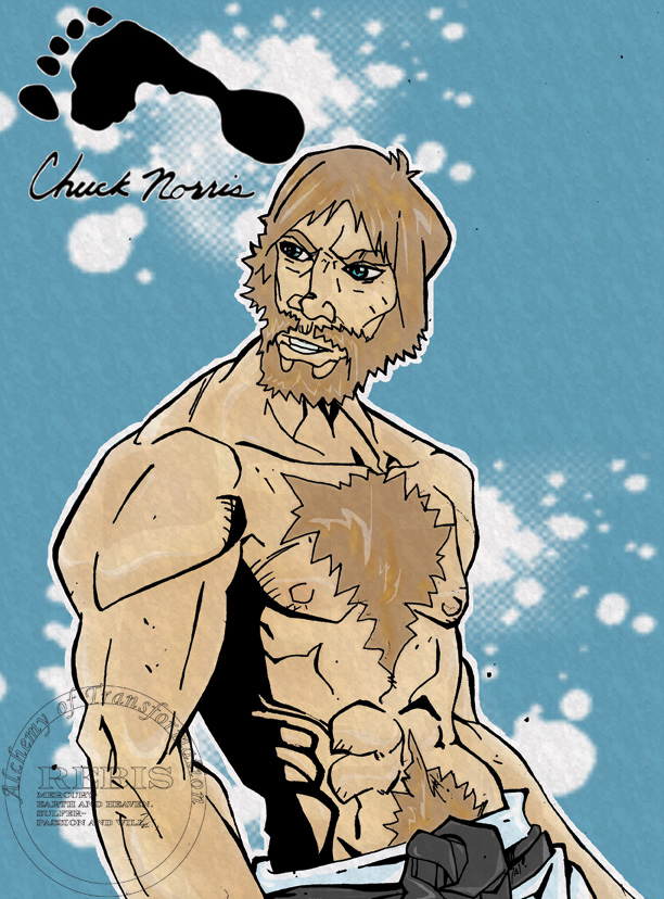 Chuck_Norris_by_rebis.jpg