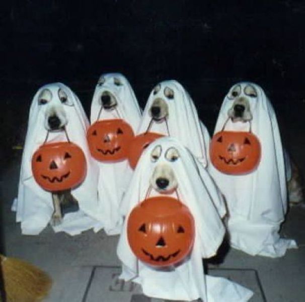happy_halloween_640_03.jpg